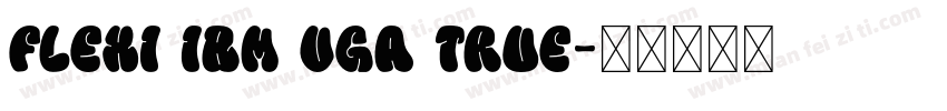Flexi IBM VGA True字体转换